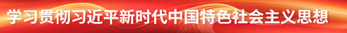 学习贯彻习近平新时代中国特色社会主义思想主题教育